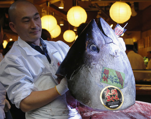Fish
